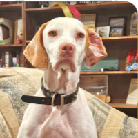 Lou in Kansas (6 y.o. Female)