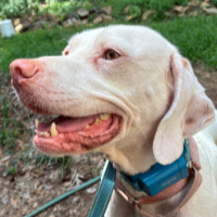 Velma in North Carolina (6 y.o. Female)