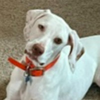 Jess in Kansas (1 y.o. Female)