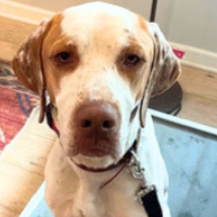 Ben in Kentucky (2 y.o. Male)