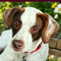 Sally in Ohio (6 y.o. Female)