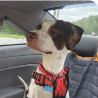 Sally in Ohio (5 y.o. Female)