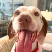 Grace in Florida (2-3 y.o. Female)